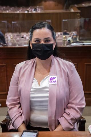 POSTURA DIPUTADA VIRIDIANA CAMACHO